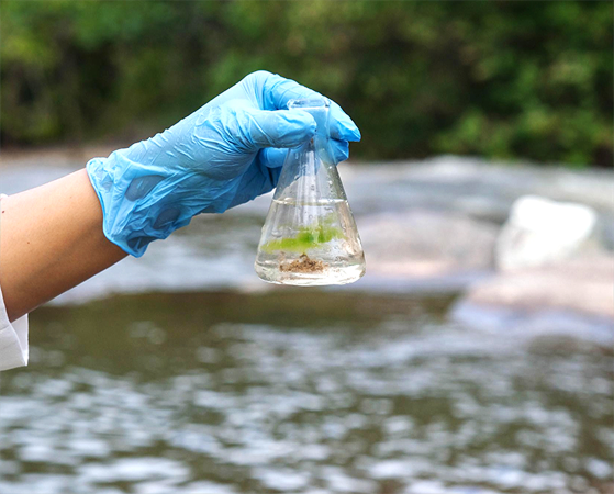 Enviromental Pollution Bioremediation and Treatment